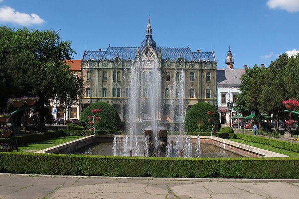 Agentie Web Design Satu Mare