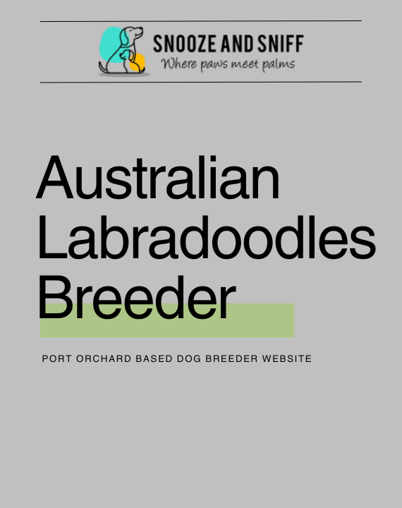 Australian Labradoodles breeder website