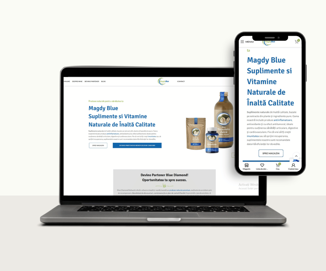 portofolio dianas web design magdy blue